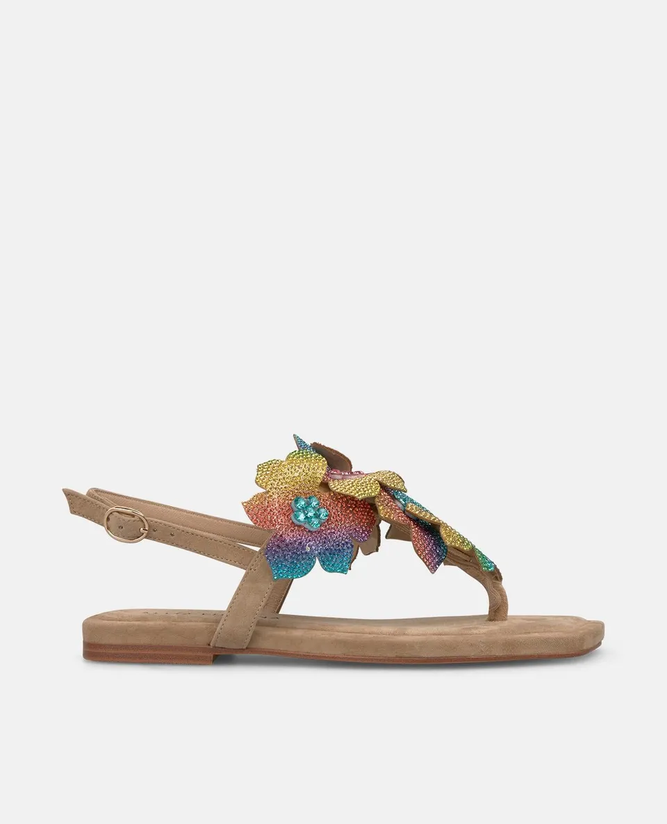 alma-en-pena-flache-sandalen-mit-blumen-riemen-arena-square-toe-2-cm-plateau image 1