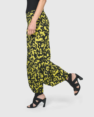 alembika-thunderbolt-punto-hose-python image 4