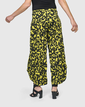 alembika-thunderbolt-punto-hose-python image 5