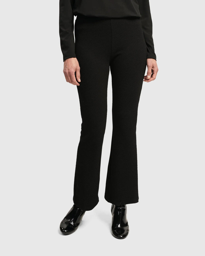 alembika-essential-toned-up-flare-hose-schwarz image 1