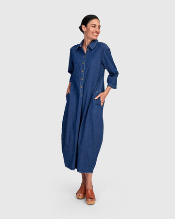 alembika-celine-maxi-shirtdress-denim image 3